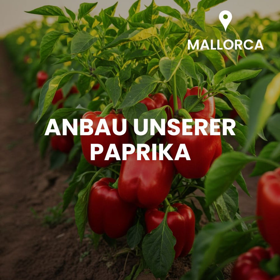 Mallorca