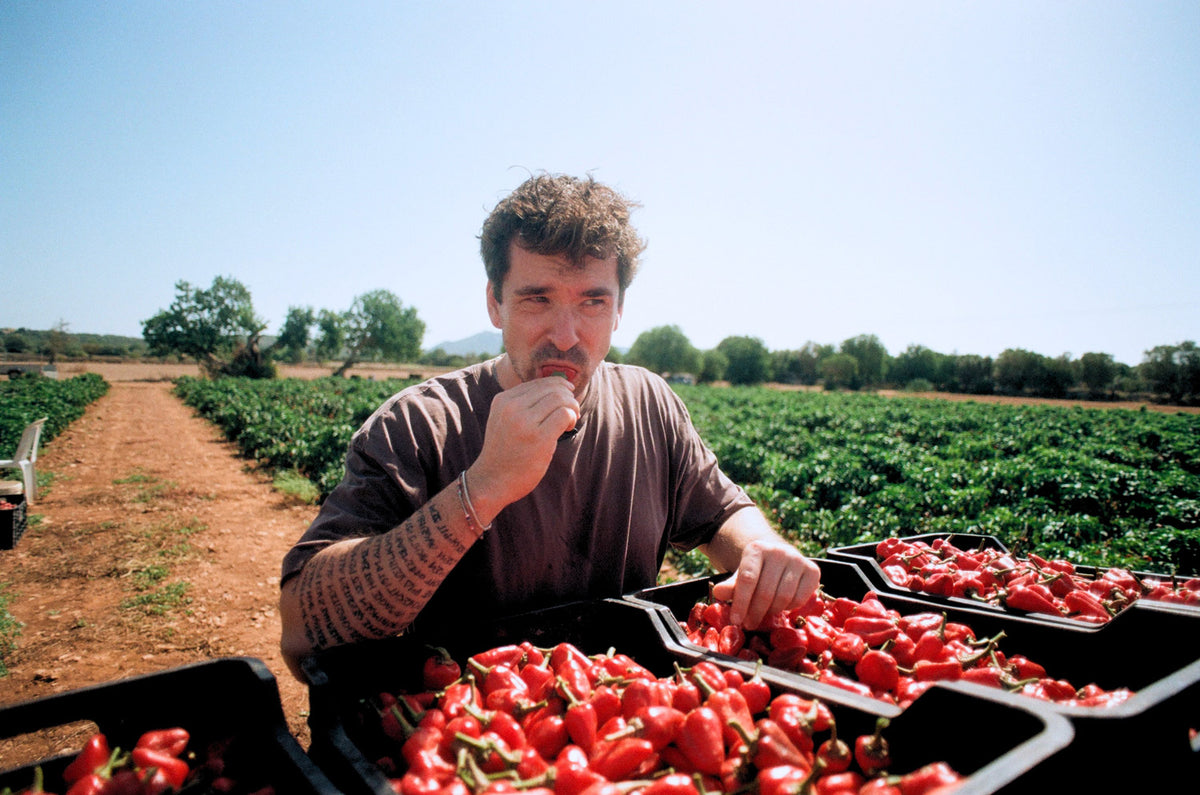 Tim probiert eine Paprika auf einem Feld